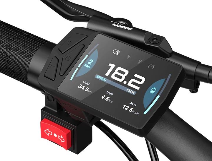 Vélo électrique cargo ADO Oasis 260T, double batterie 48 V, autonomie 180 km, charge 150 kg, 500 W