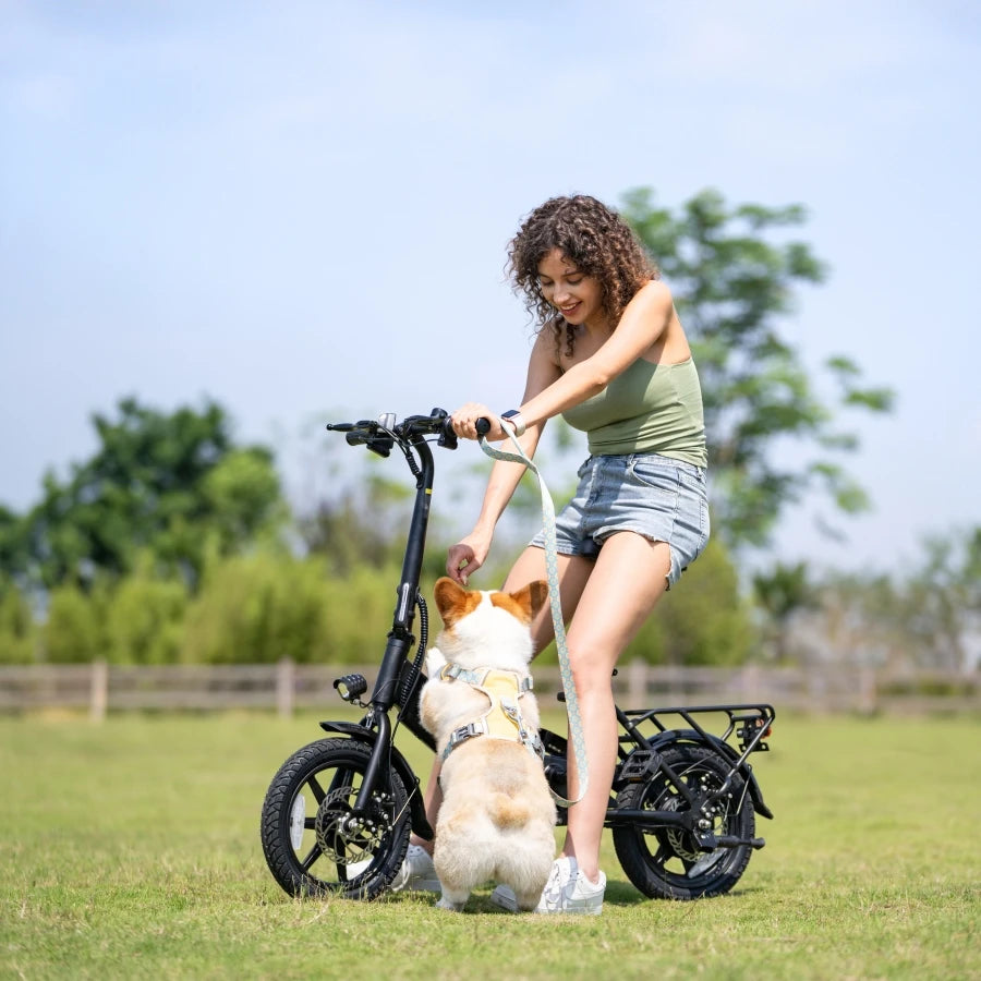 Trottinette électrique DYU pliable 250 W, batterie lithium, légère et compacte pour adultes