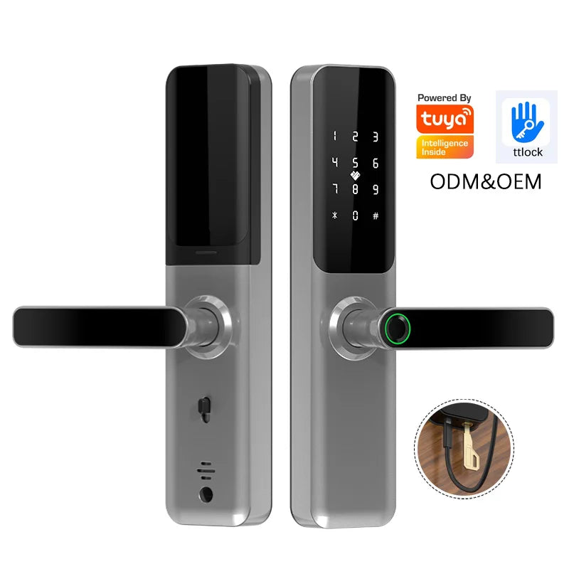 Serrure numérique moderne Tuya Wi-Fi biométrique intelligente avec télécommande, serrure à empreinte numérique et mot de passe, couleur argent, TTLock Bluetooth, serrure pour porte en bois