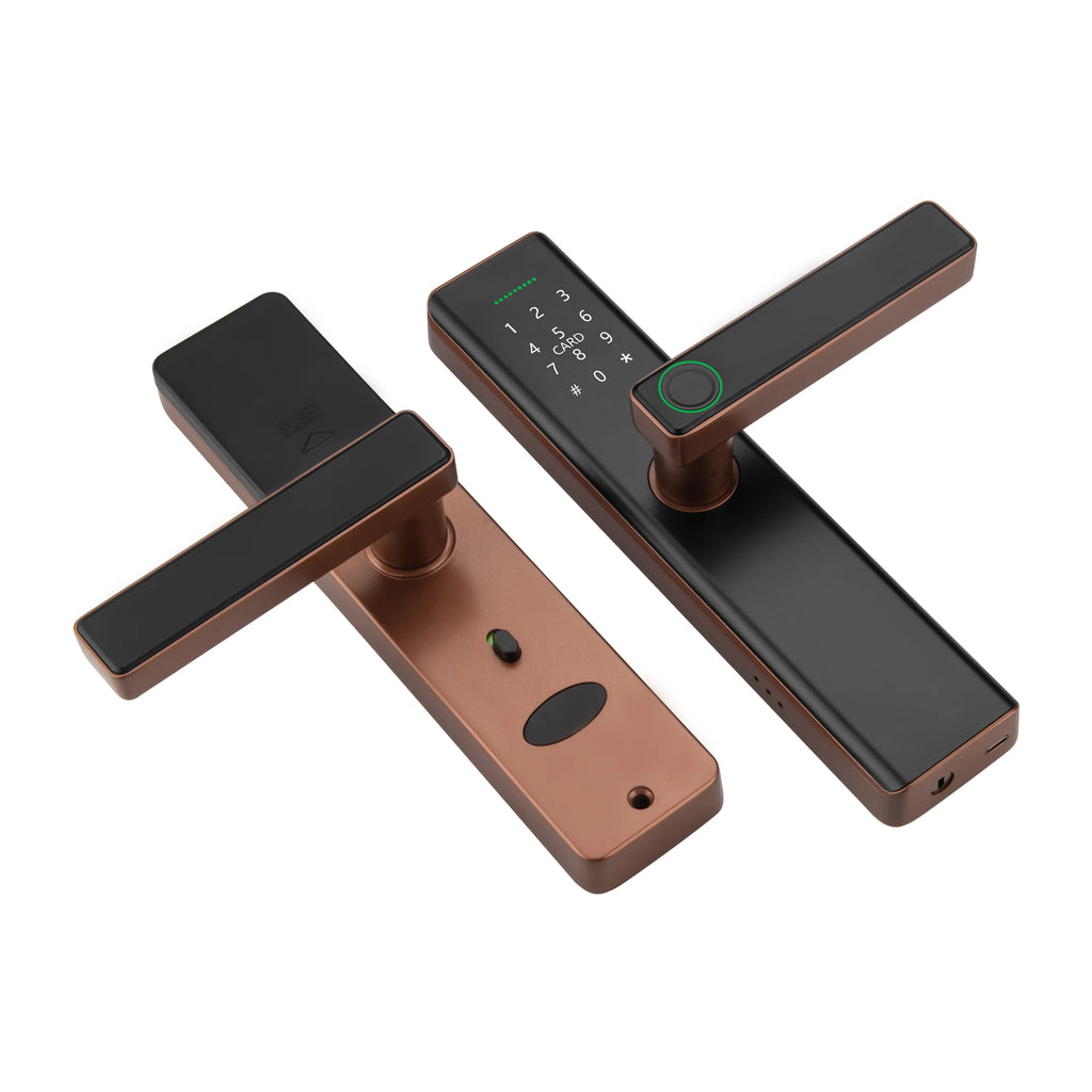 Serrure de porte en bois résistante aux intempéries, serrure numérique antivol à empreinte digitale intelligente, serrure électrique sans clé