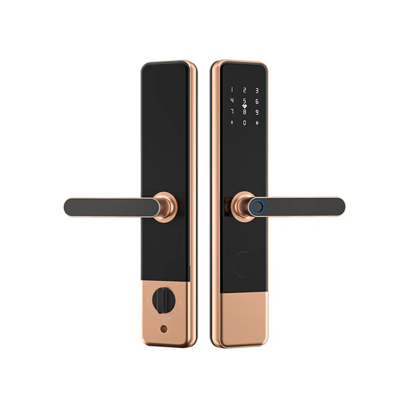 Serrure de sécurité israélienne pour porte en bois, étanche, avec empreinte numérique numérique, compatible avec TTLock Cloud. Sécurité domestique sans clé.