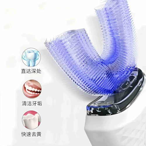 Brosse à dents électrique rotative-oscillante, IPX3, charge Micro USB, autonomie 30 jours