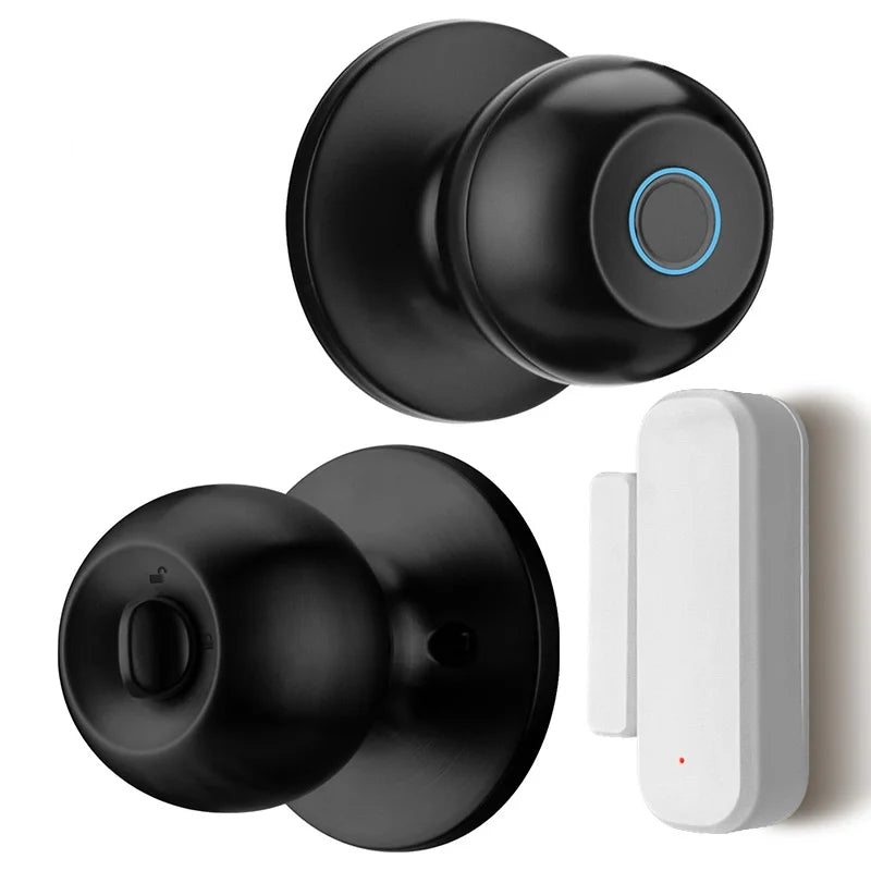 Serrure Connectée TUYA pour Chambre | Accès par Empreinte, Application Mobile et Contrôle Intelligent