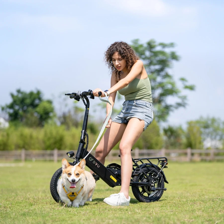 Trottinette électrique DYU pliable 250 W, batterie lithium, légère et compacte pour adultes
