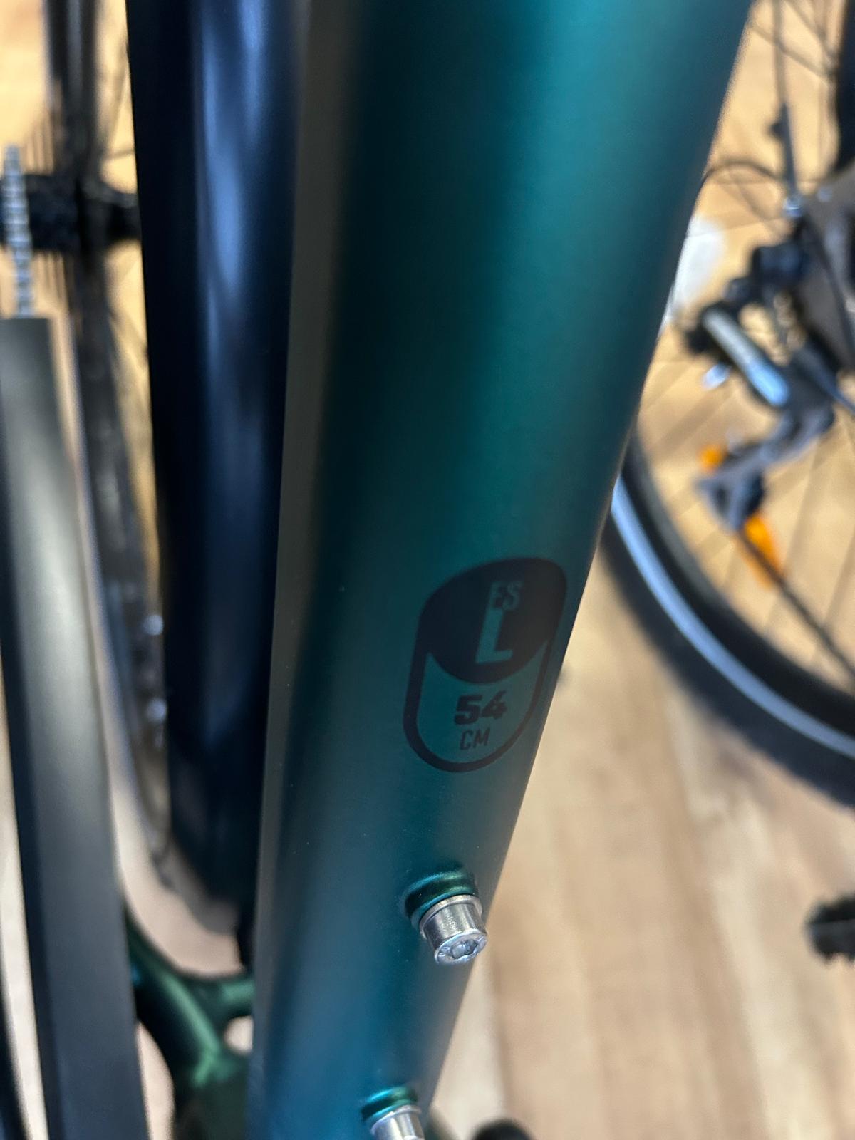 Trenoli Livenza Sportivo M Bosch Trekking E-Bike - Vorführrad-2